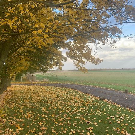 Oak Cottage At Gravel Farm Stretham 外观 照片