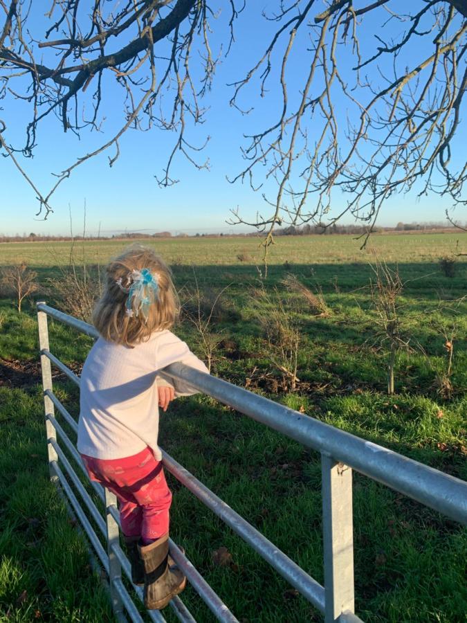 Oak Cottage At Gravel Farm Stretham 外观 照片