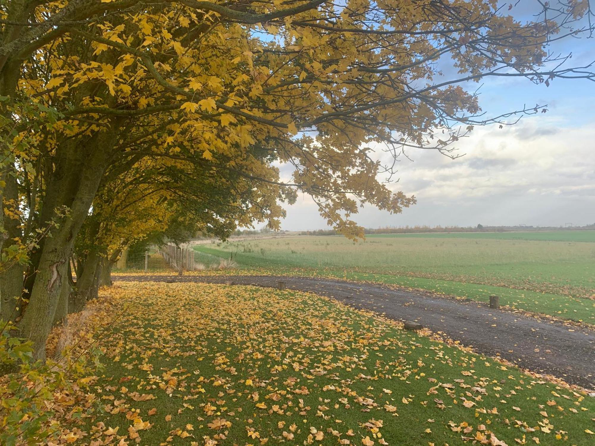 Oak Cottage At Gravel Farm Stretham 外观 照片